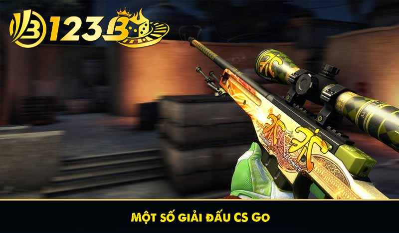 Một số giải đấu CS Go